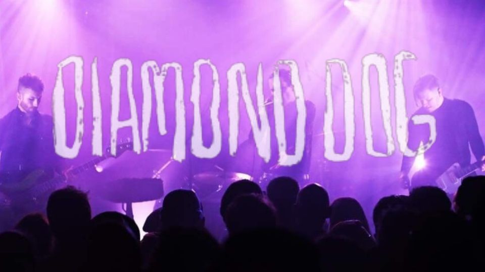 DIAMOND DOG - live in Hamburg