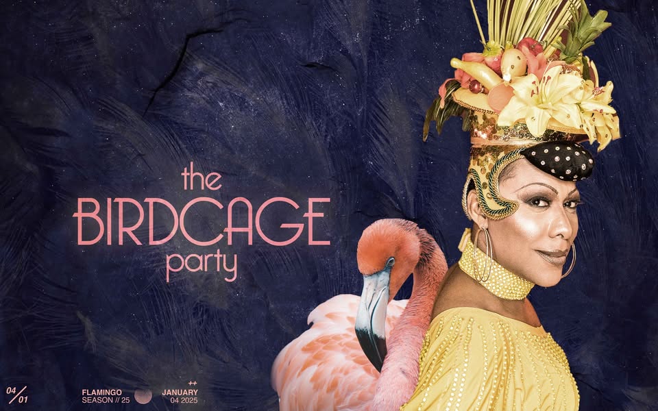 The Birdcage Party ✨