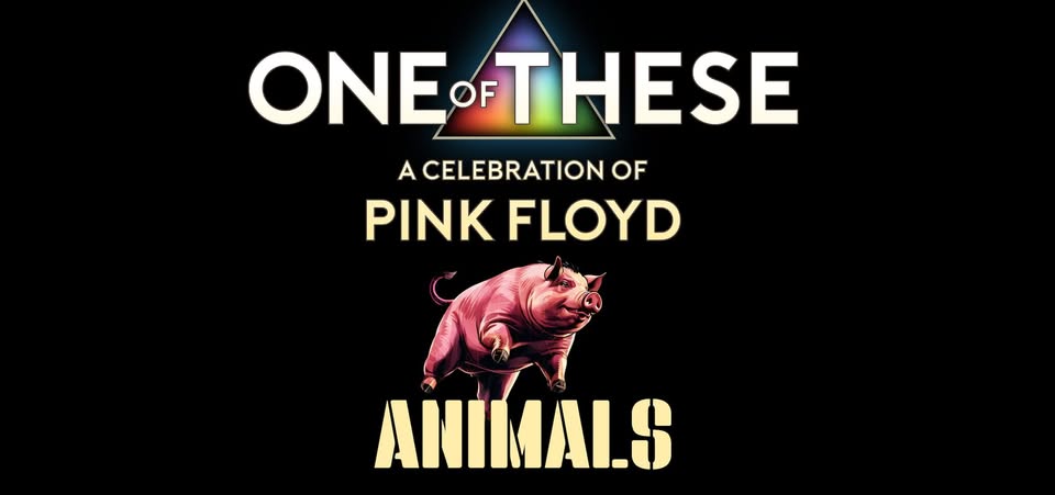 One Of These – A celebration of Pink Floyd: Animals Tour 2026