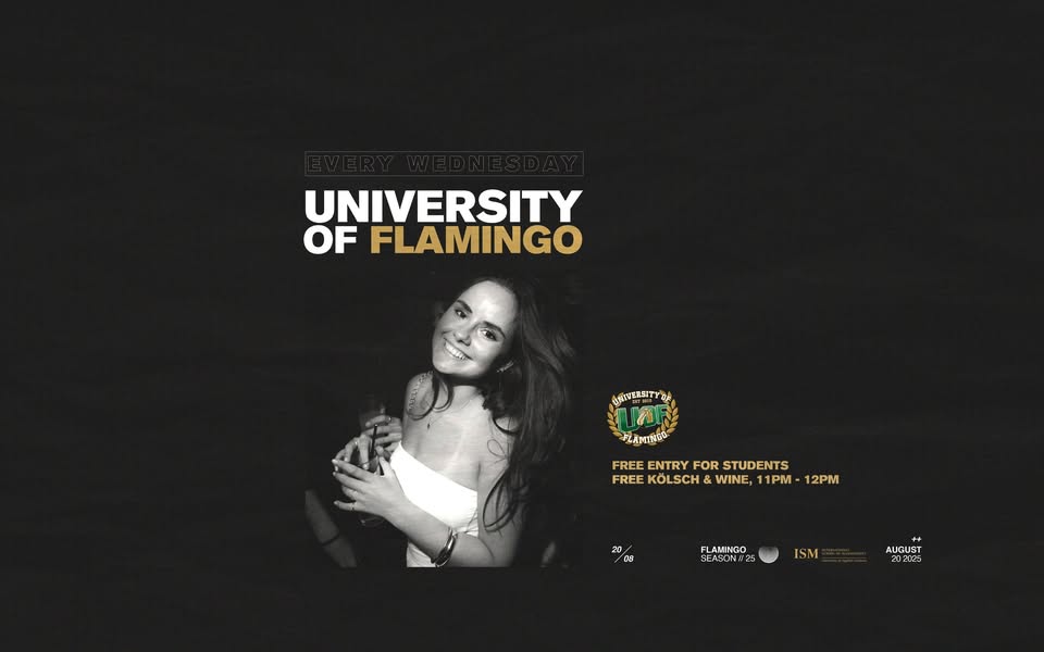 University of Flamingo 🎓