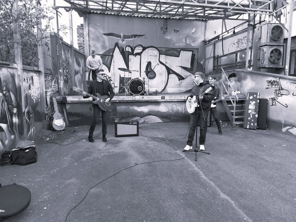 The Backyard Band [D] / Mono Sapiens [D]