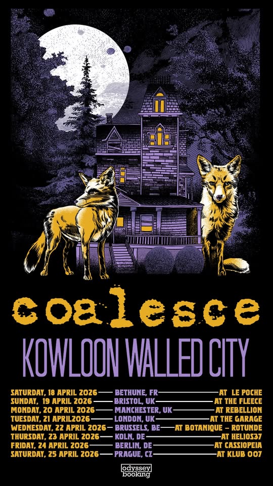 Coalesce • Berlin • Cassiopeia