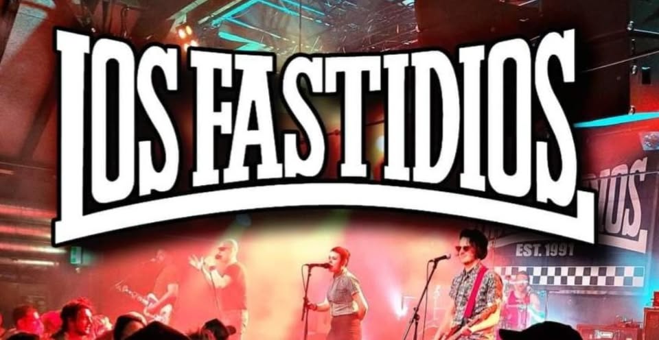 Los Fastidios + Dakka Skanks live in Hamburg 