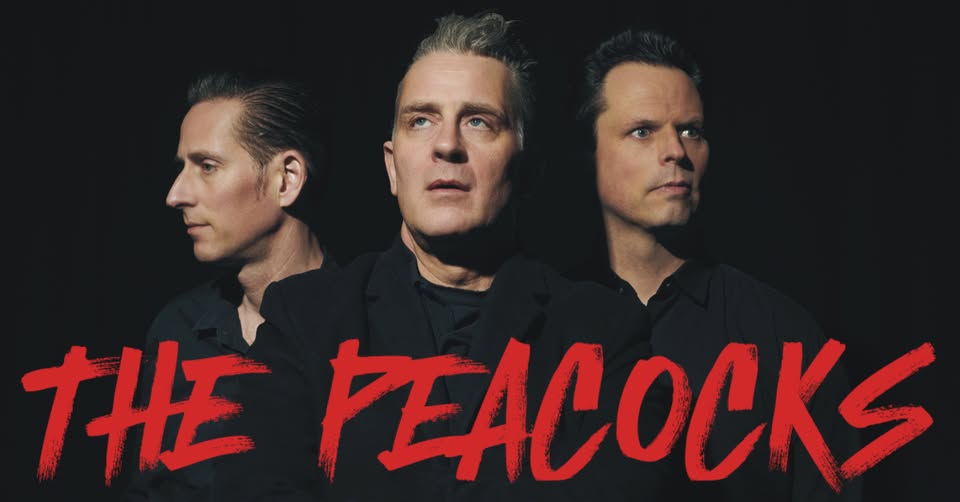 Live: THE PEACOCKS | "Rockabilly-Style of Punk Rock" – Stuttgart / Goldmark's + NECKARIONS