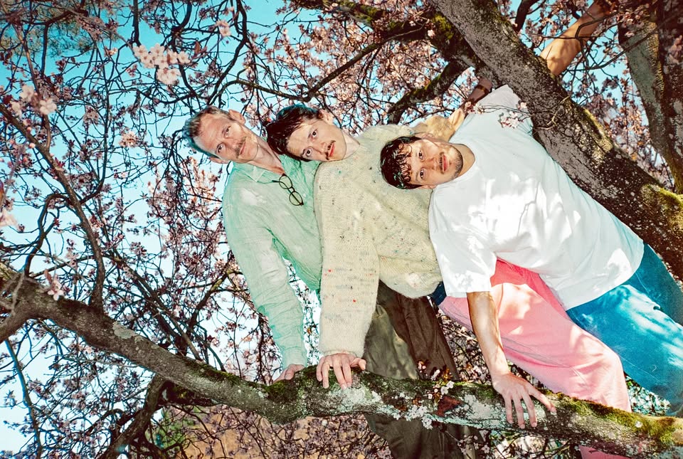 Löwenzahnhonig • Mainz • schon schön • 