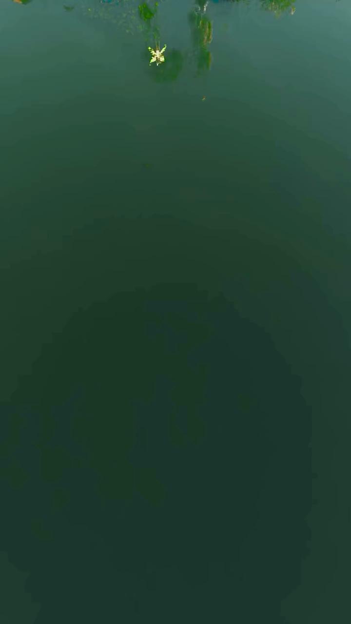 Bouncer Collective presents: GATE - Spring Love | Charity Rave