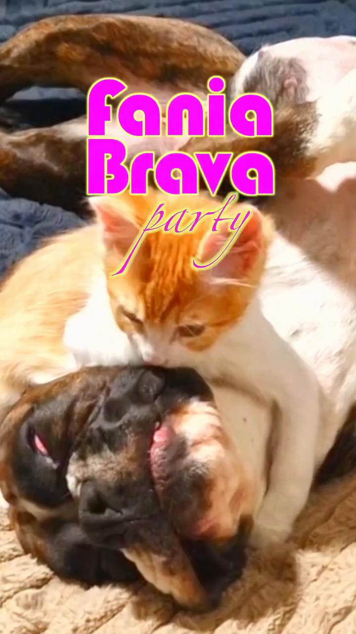 Salsa & Perreo Night