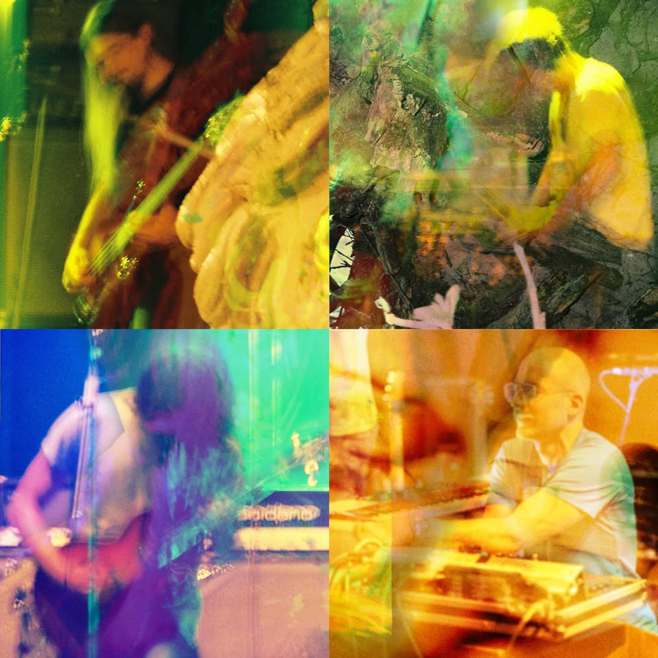 Colour Haze • Live 2026