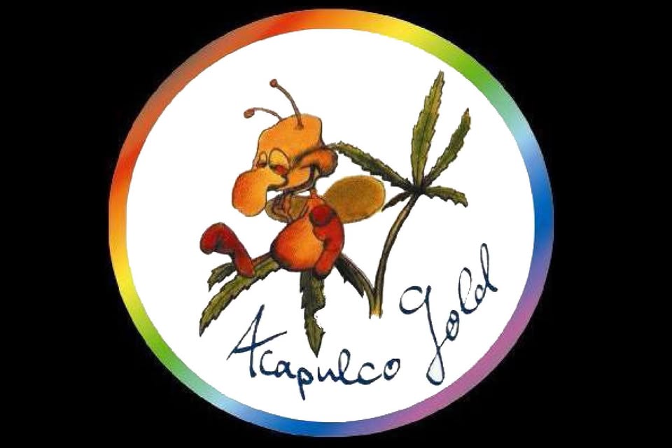 Acapulco Gold Biergartenkonzert – Eintritt frei!