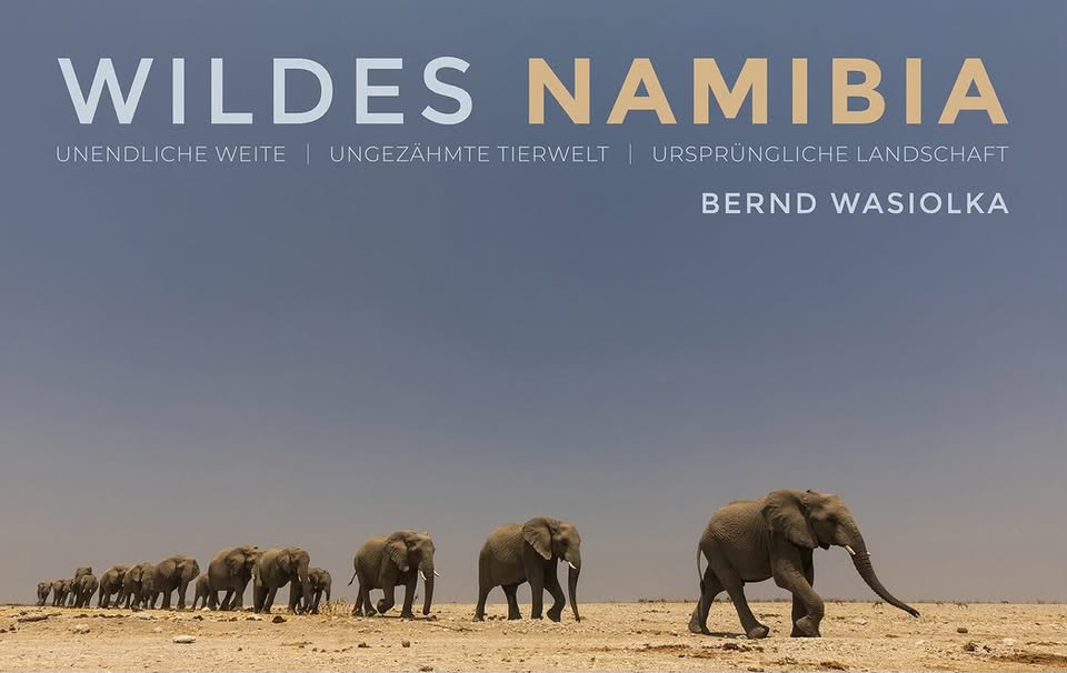 Wildes Namibia