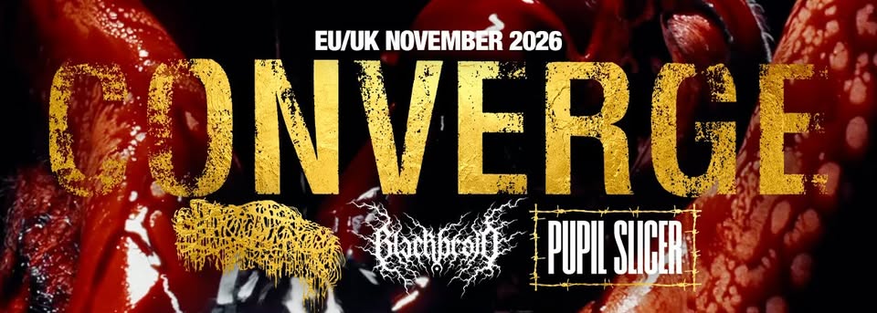 CONVERGE | Karlsruhe